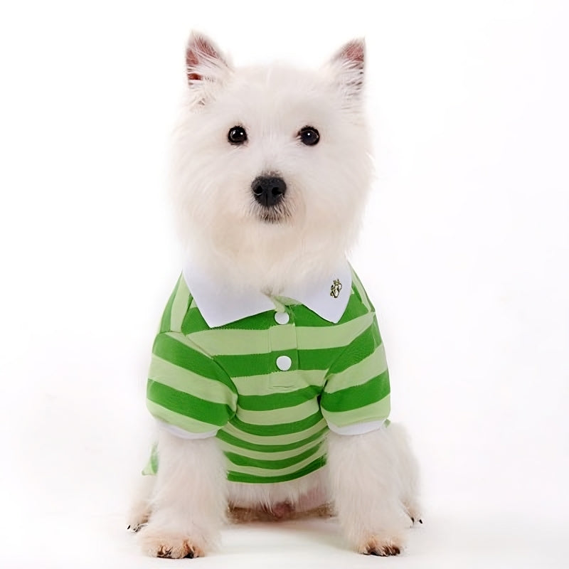 Stripe Polo Shirt - Partner Brand