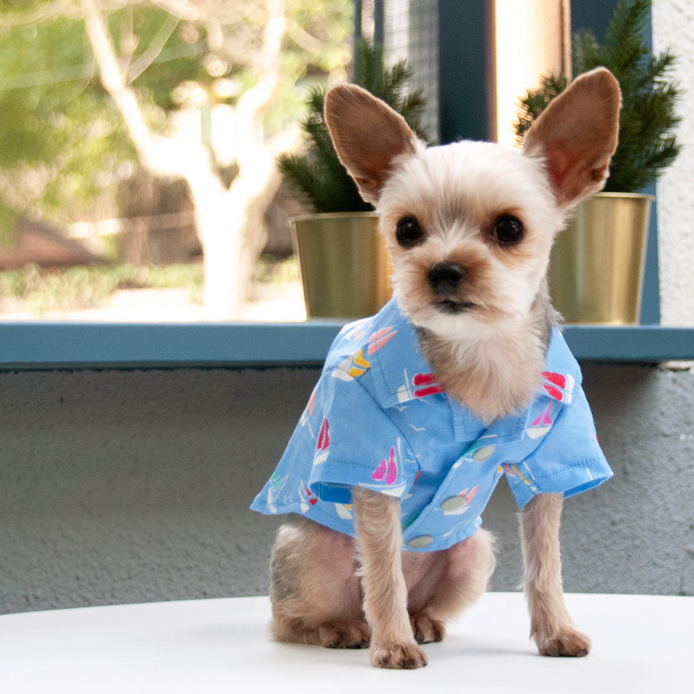 Summer Beach Shirt - Partner Brand