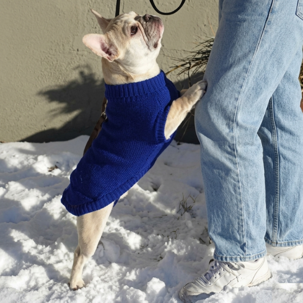 Solid Turtleneck