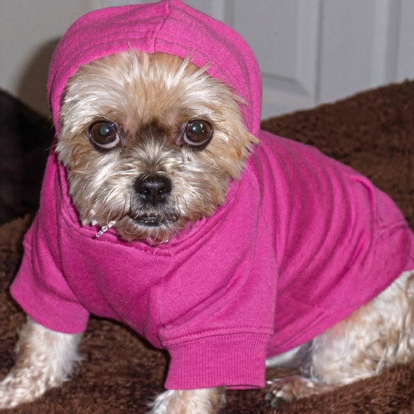 Hoodie Sweatshirt