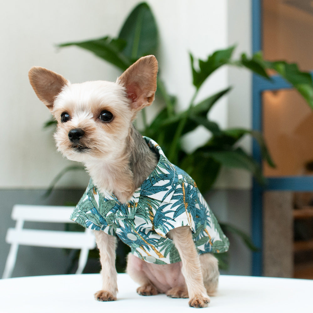 Tropical Leaf Shirt - Partner Brand