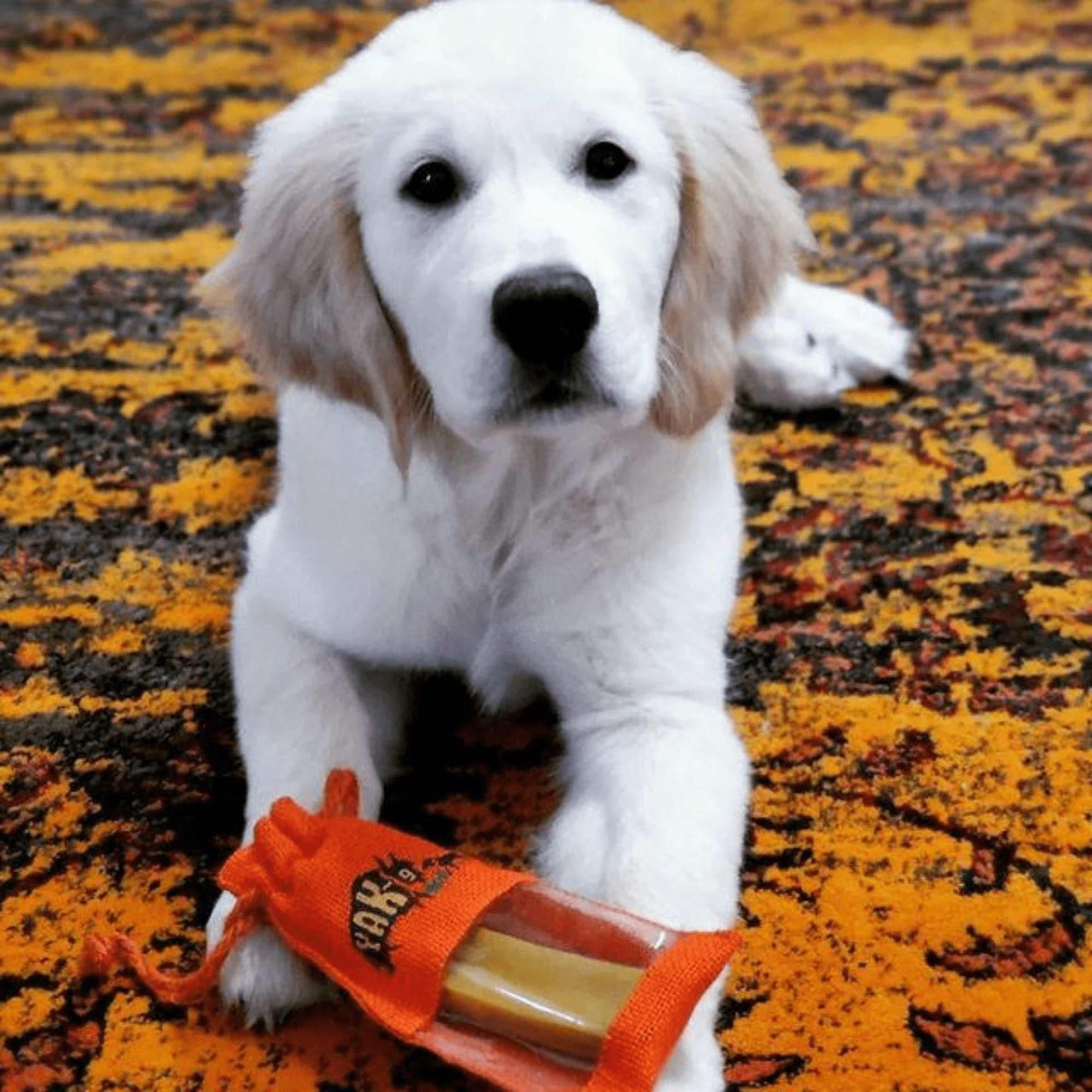 Turmeric Cheese Chews for Dogs - Partner Brand