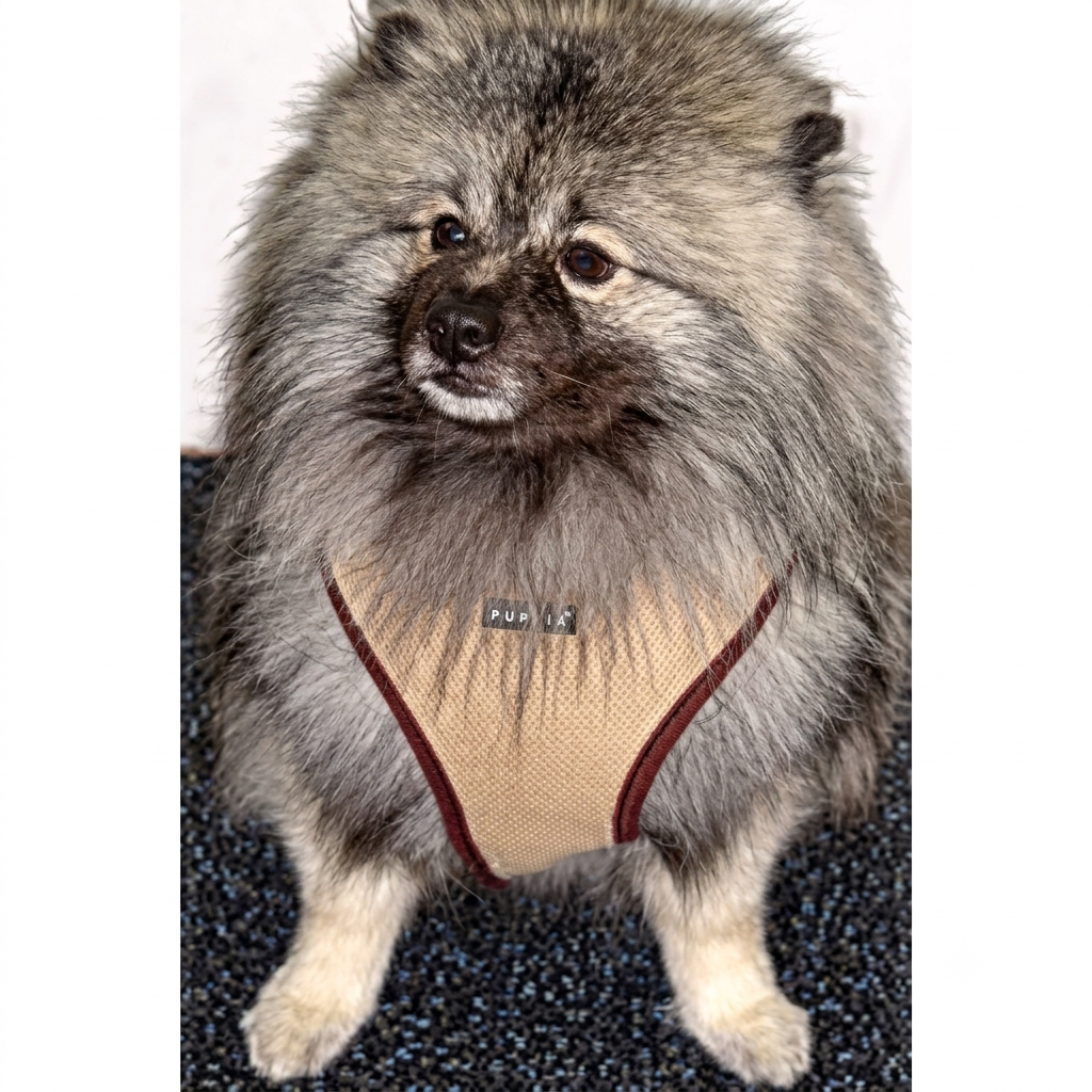 Soft Harness by Puppia